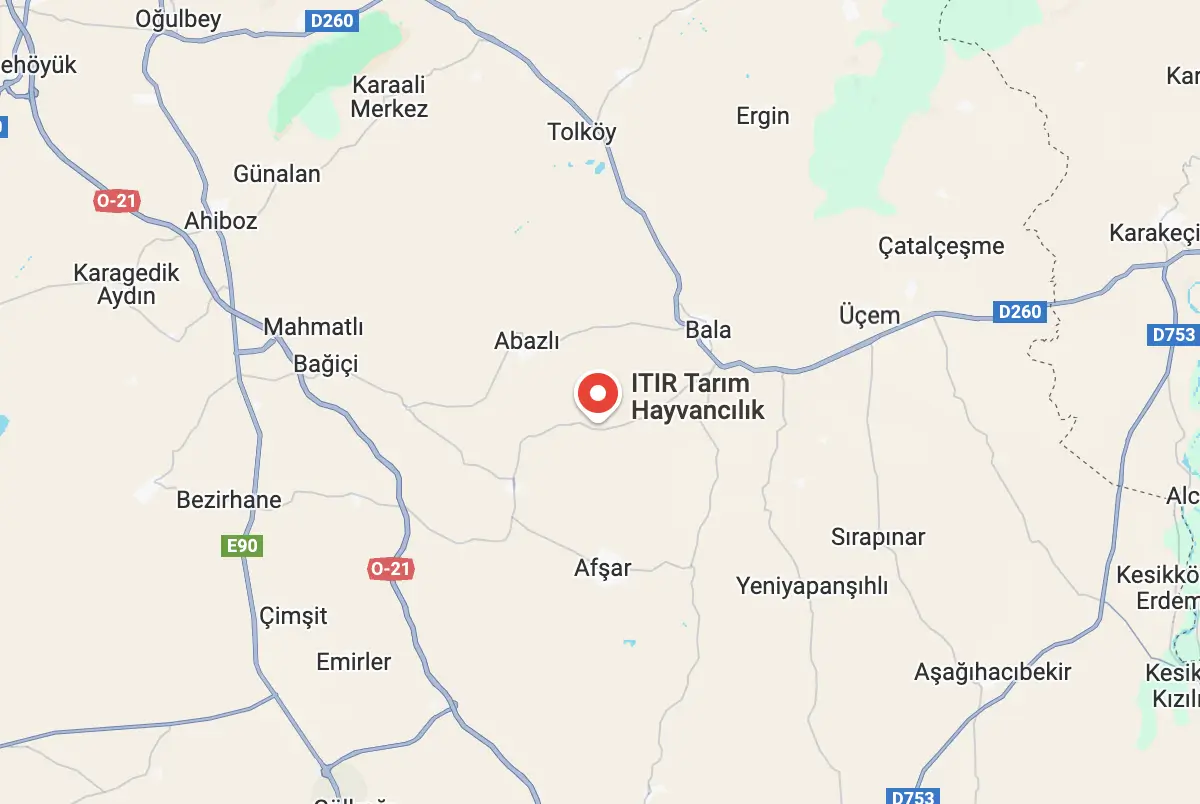 Kurban Çiftliği Konumu - Google Maps